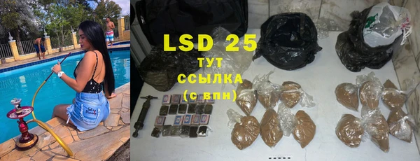 шишки Балабаново