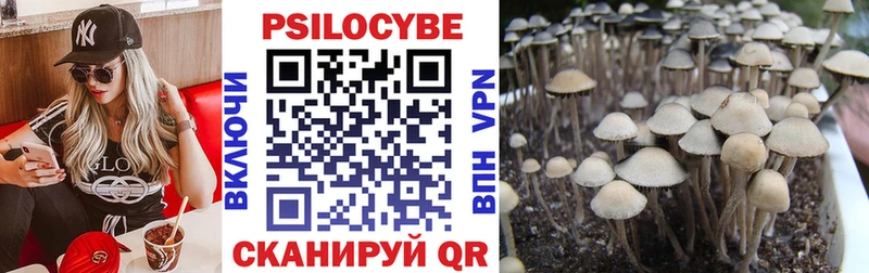 купить  сайты  Пересвет  Псилоцибиновые грибы прущие грибы 